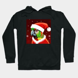 Adorable Green Cheeked Conure Santa Hat Suit Christmas Hoodie